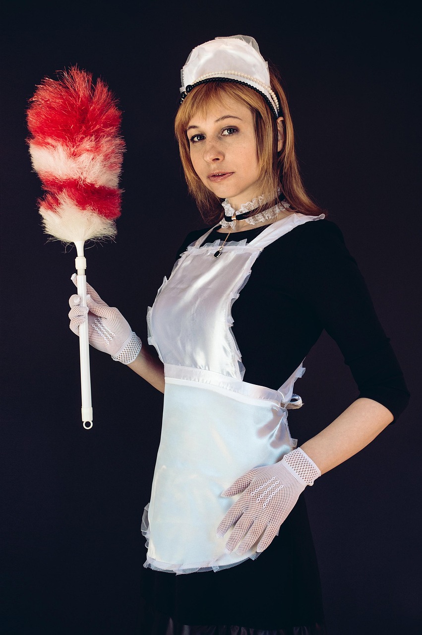 services-01 the maid, united, apron, cleaning brush, pipidaster, cosplay, girl, woman, cleaning, lid, housekeeper, poses, portrait, french maid, apron, housekeeper, housekeeper, housekeeper, french maid, french maid, french maid, french maid, french maid